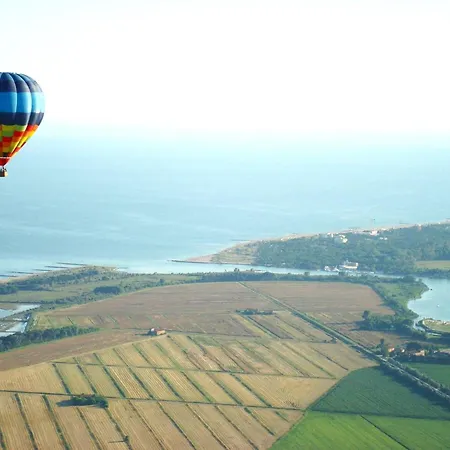 Bright Near The In *